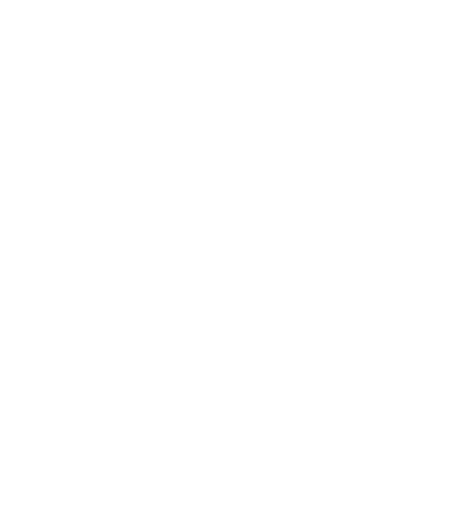 AKTUELLE DEKORATION